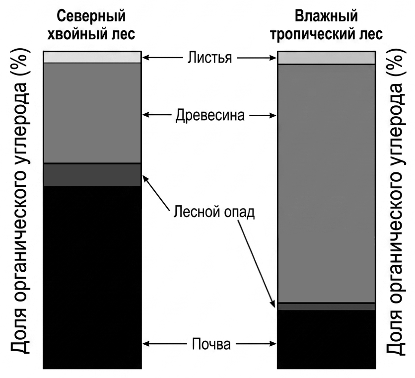 Иллюстрация к заданию, рис.1