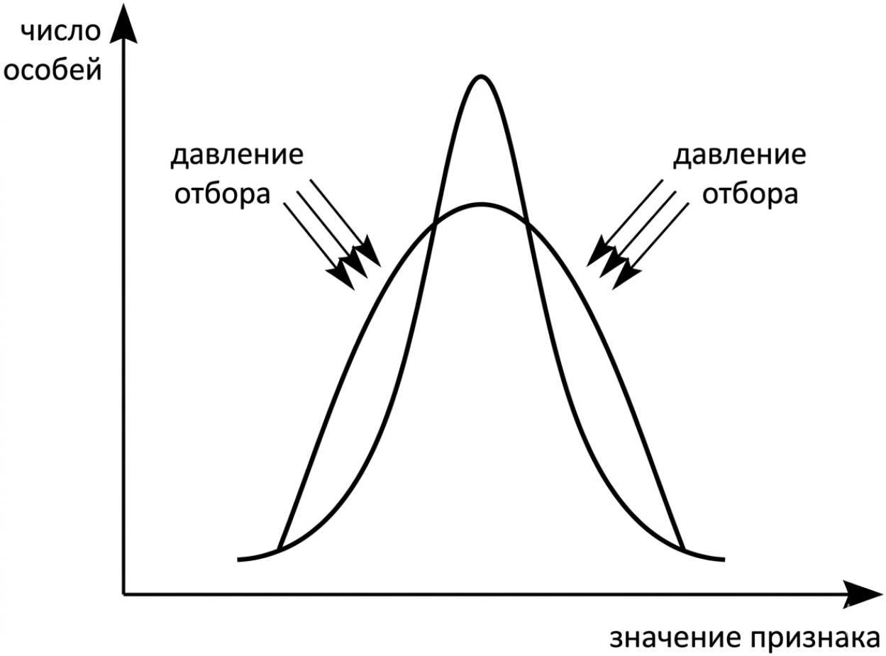 Иллюстрация к заданию, рис.1