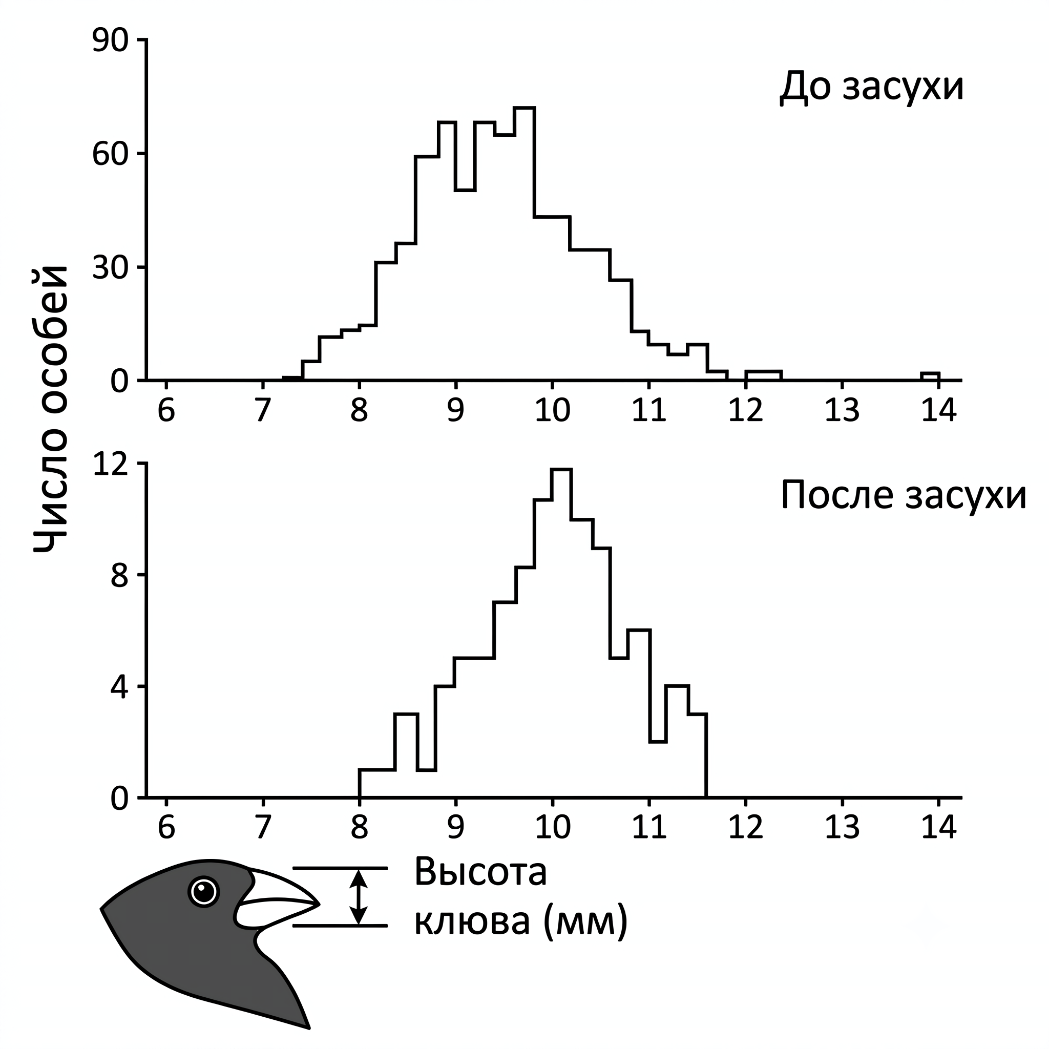Иллюстрация к заданию, рис.1