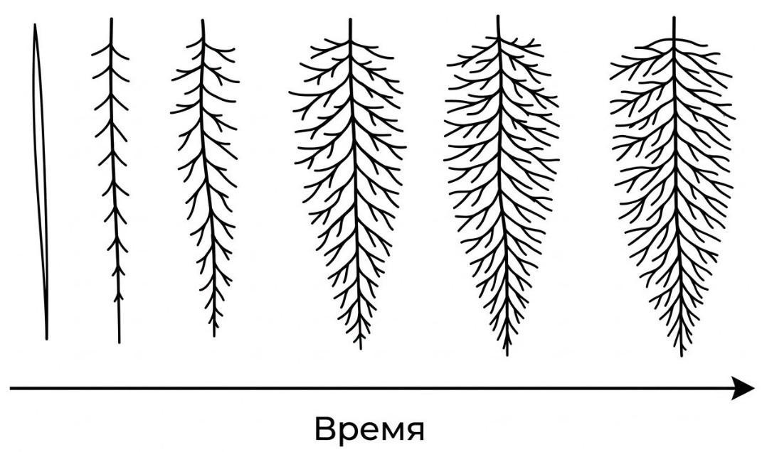 Иллюстрация к заданию, рис.1