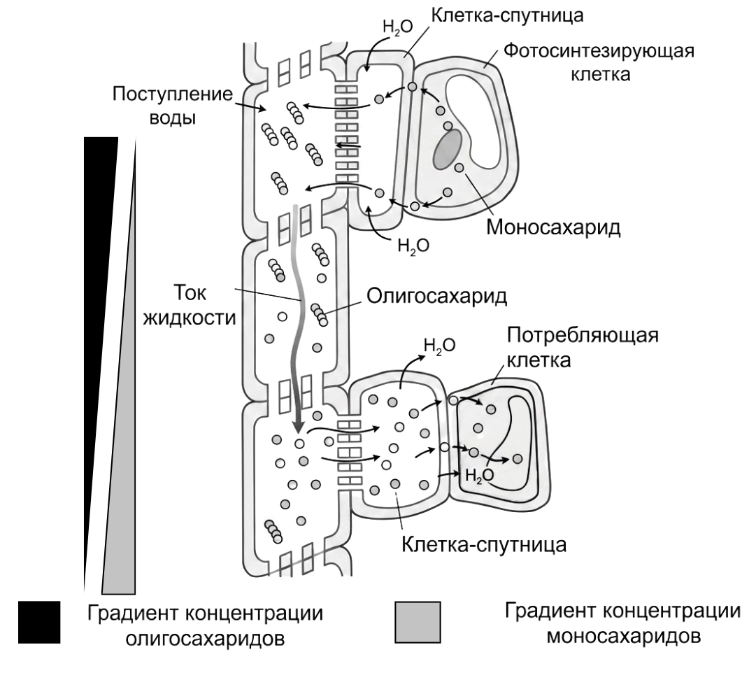 Иллюстрация к заданию, рис.1