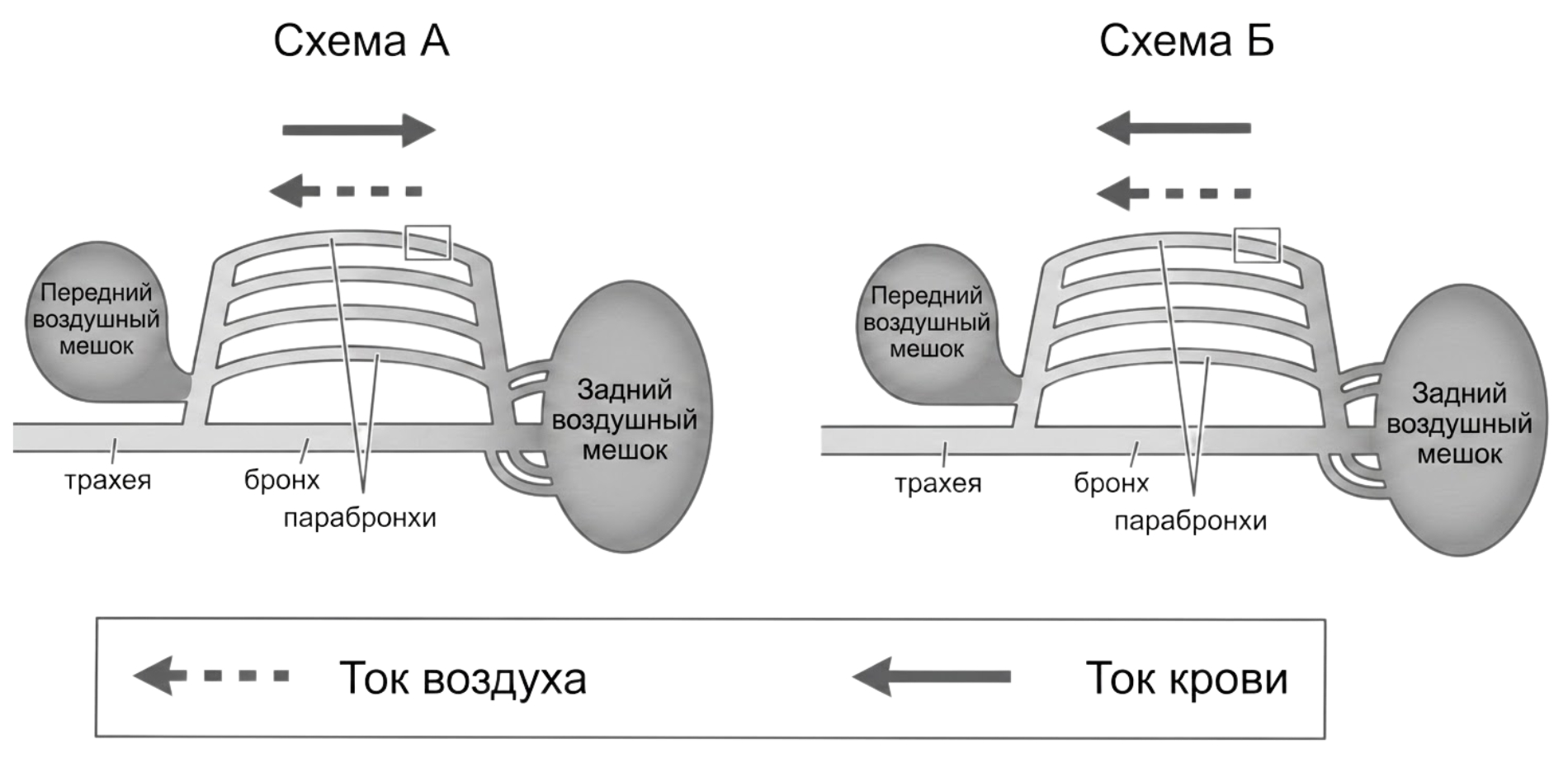 Иллюстрация к заданию, рис.1