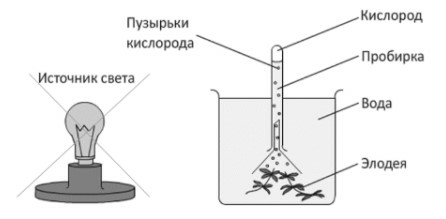 Иллюстрация к заданию, рис.1