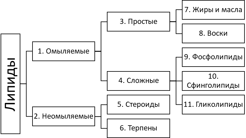 Иллюстрация к заданию, рис.1