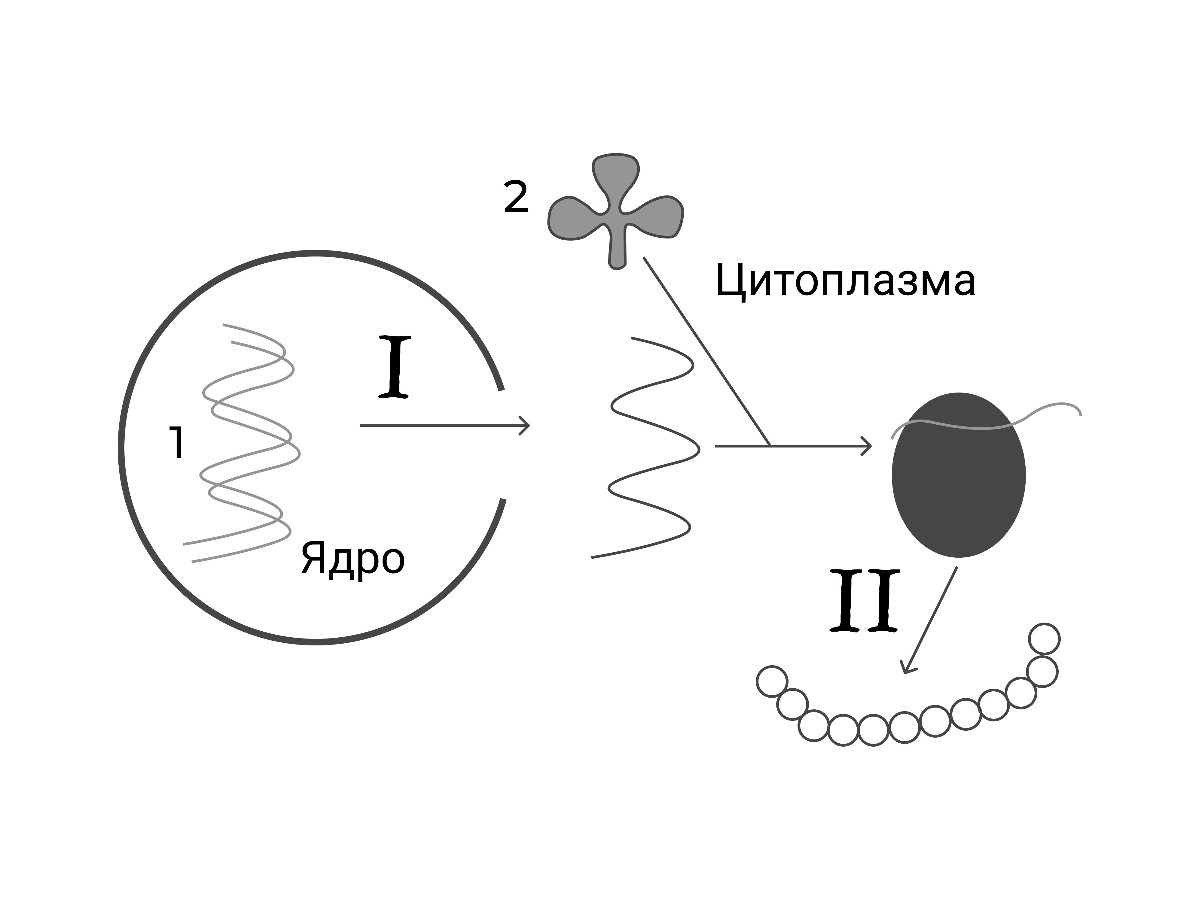 Иллюстрация к заданию, рис.1