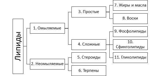 Иллюстрация к заданию, рис.1