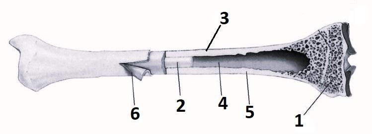 Иллюстрация к заданию, рис.1