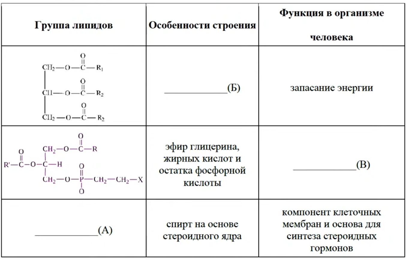 Иллюстрация к заданию, рис.1