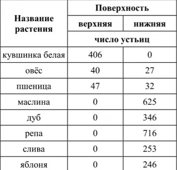 Иллюстрация к заданию, рис.1