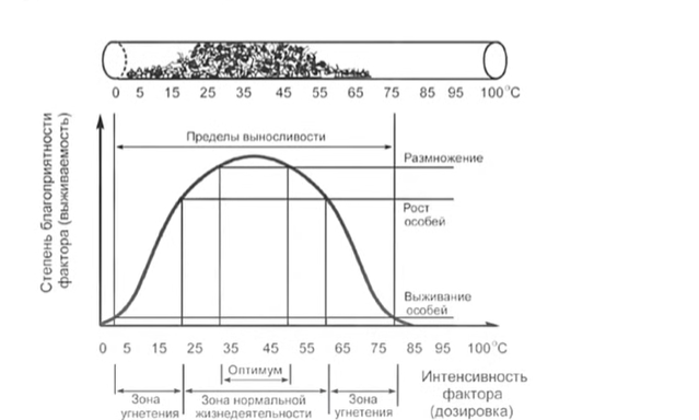 Иллюстрация к заданию, рис.1