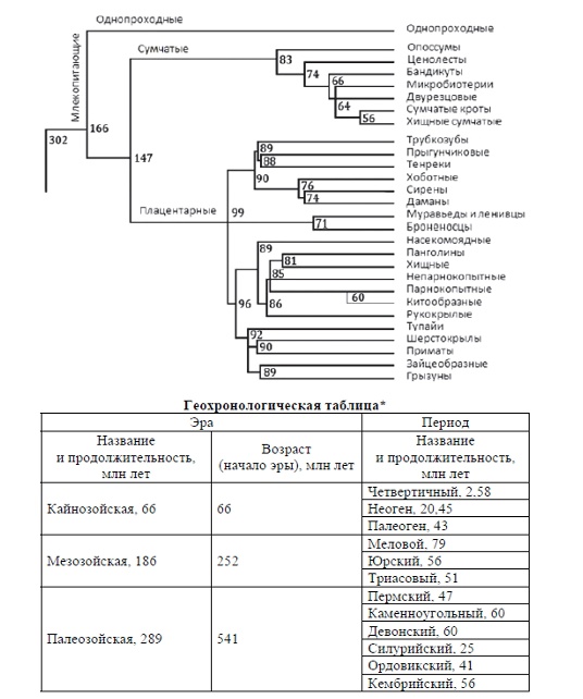 Иллюстрация к заданию, рис.1