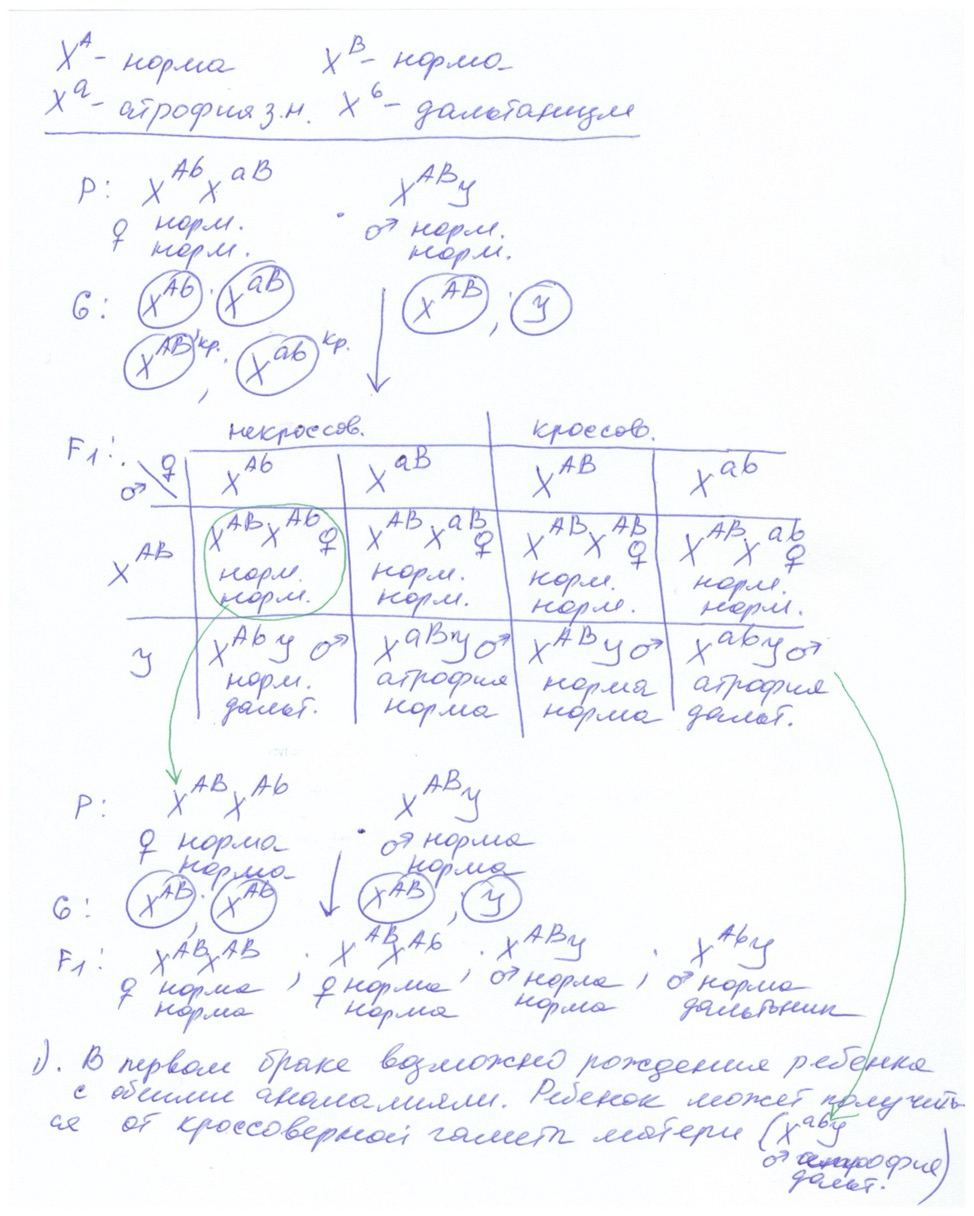 Биология, задание 28, рис.1