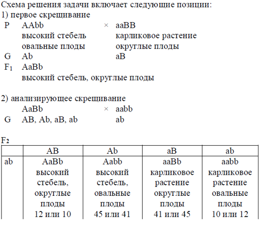Биология, задание 28, рис.1