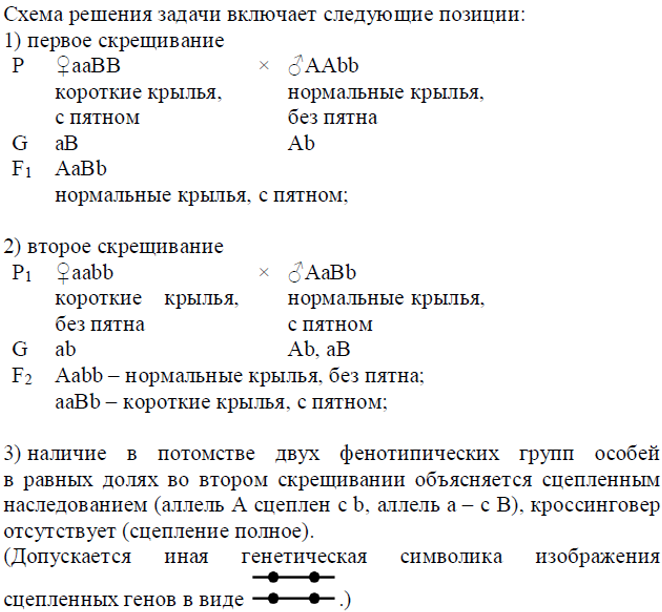 Биология, задание 28, рис.1
