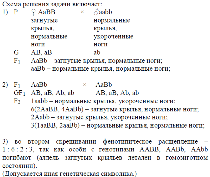 Биология, задание 28, рис.1