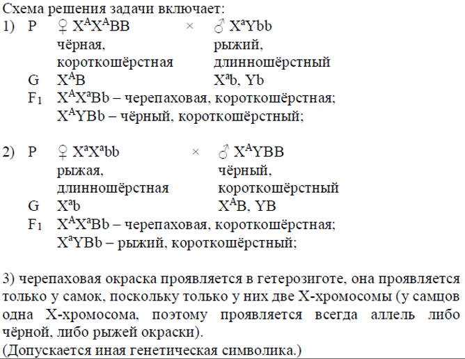 Биология, задание 28, рис.1