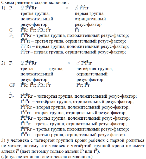 Биология, задание 28, рис.1