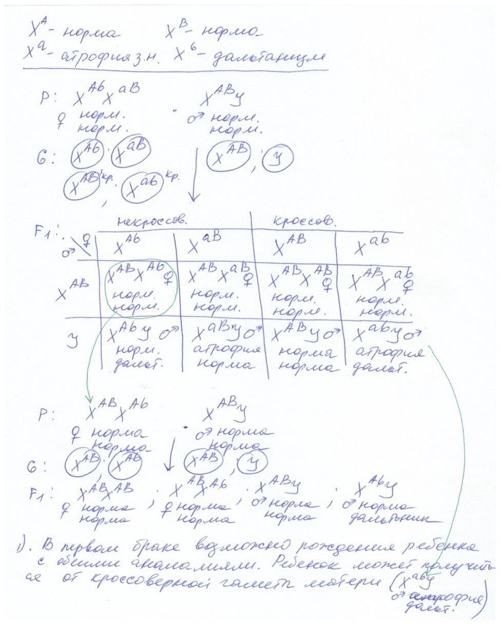 Биология, задание 28, рис.1