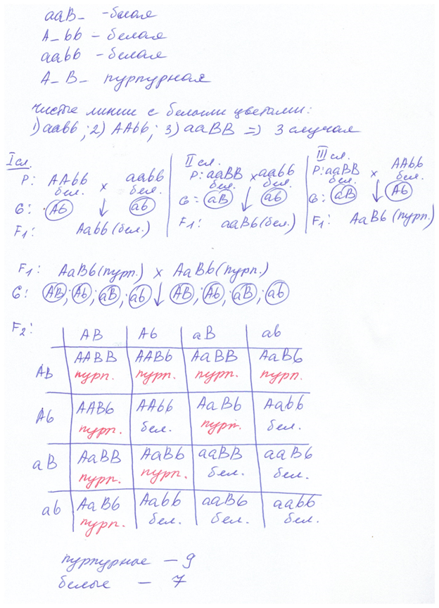 Биология, задание 28, рис.1