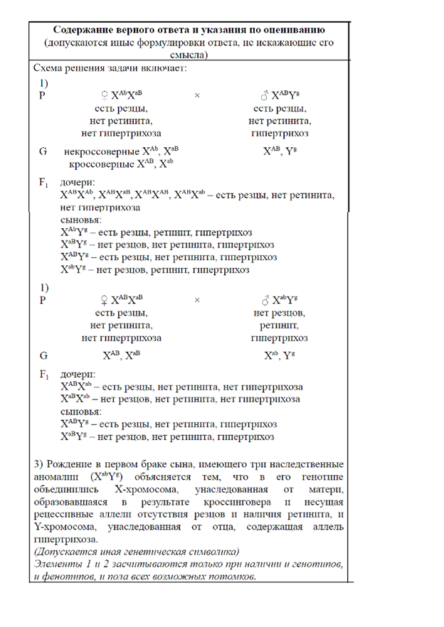 Биология, задание 28, рис.1