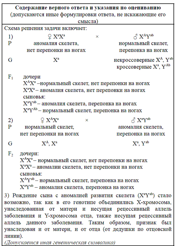Биология, задание 28, рис.1