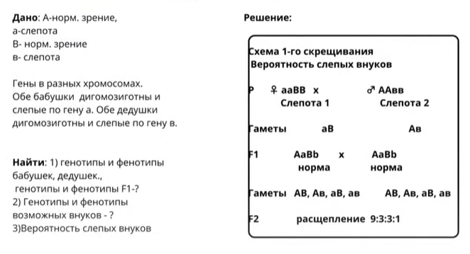 Биология, задание 28, рис.1
