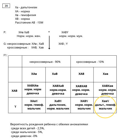 Биология, задание 28, рис.1