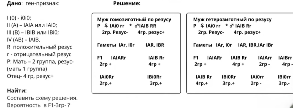 Биология, задание 28, рис.1