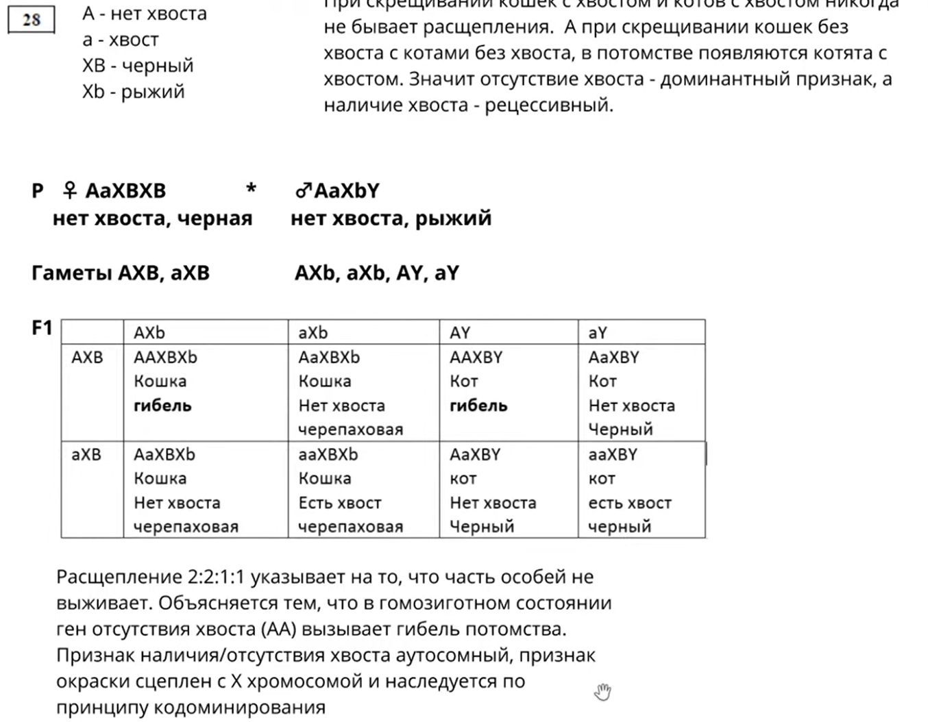 Биология, задание 28, рис.1