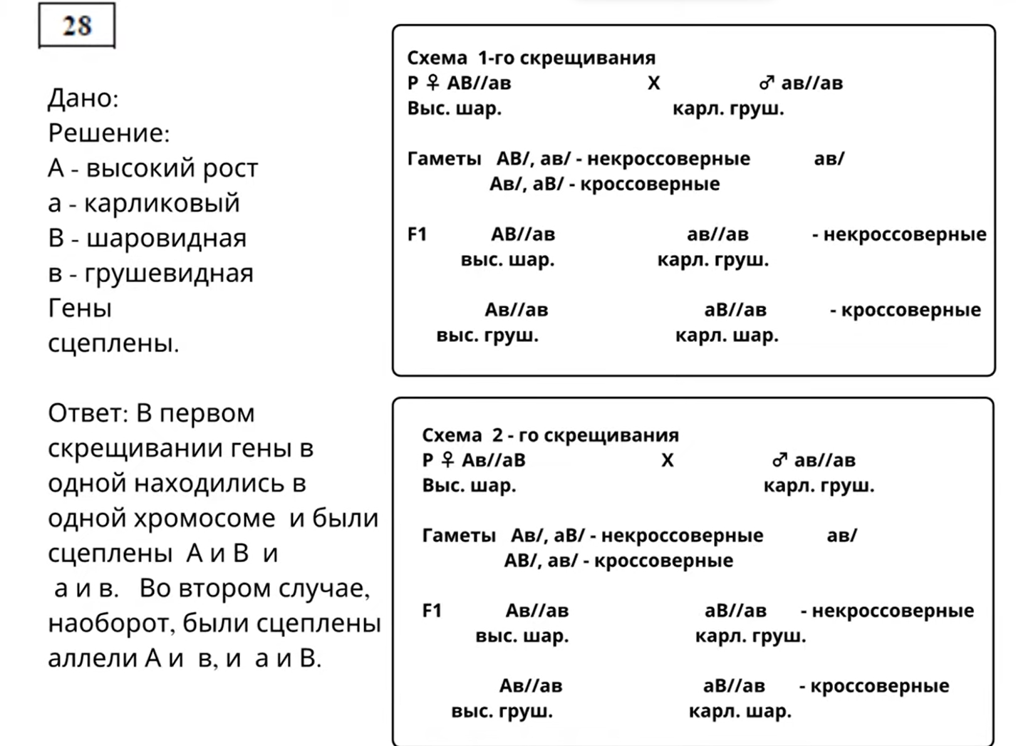 Биология, задание 28, рис.1