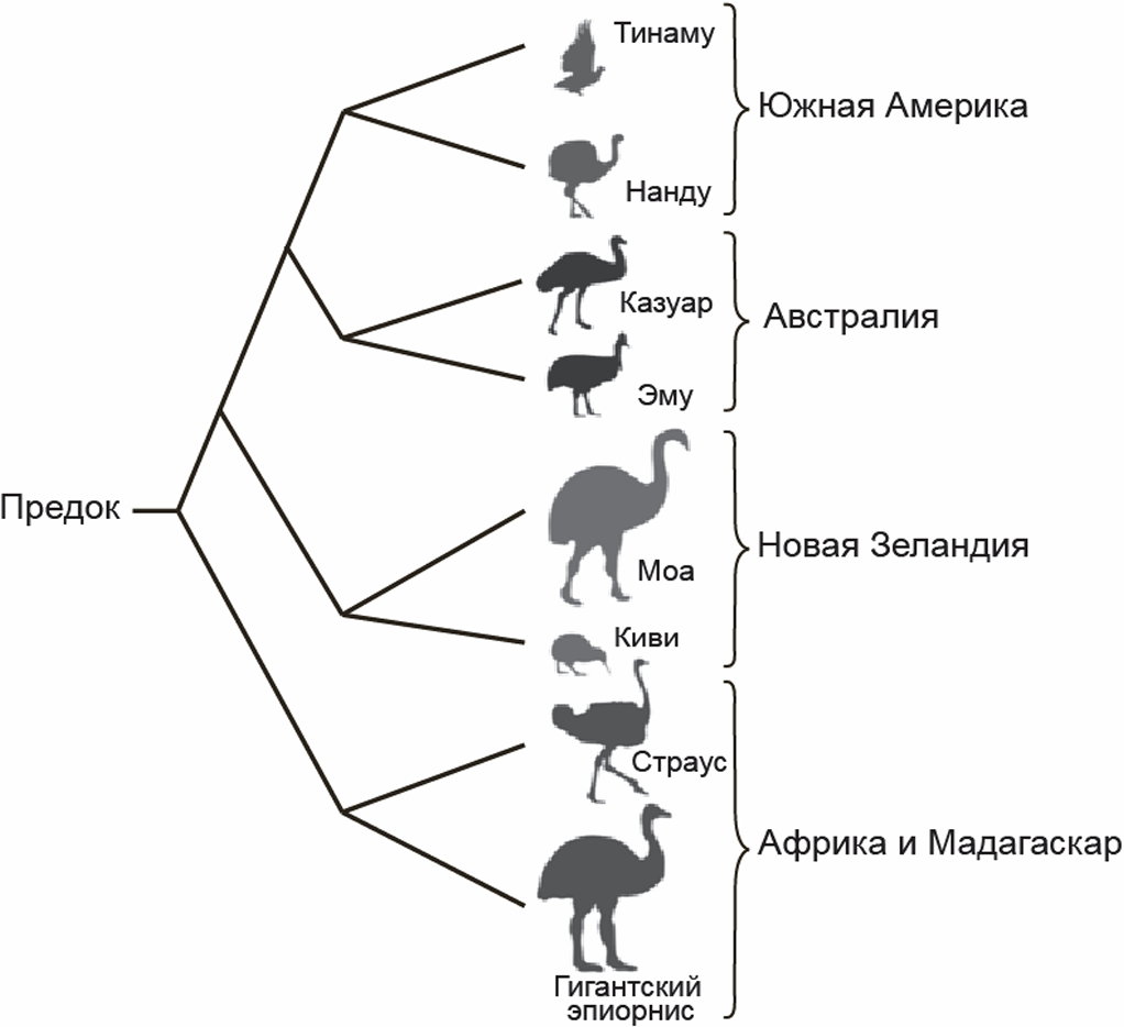 Иллюстрация к заданию, рис.1