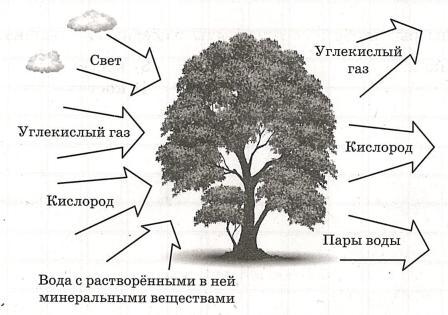 Иллюстрация к заданию, рис.1