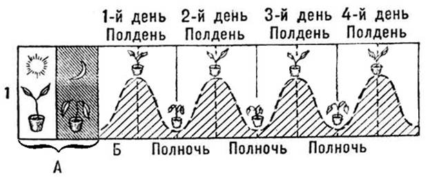Иллюстрация к заданию, рис.1