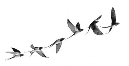 Иллюстрация к заданию, рис.1