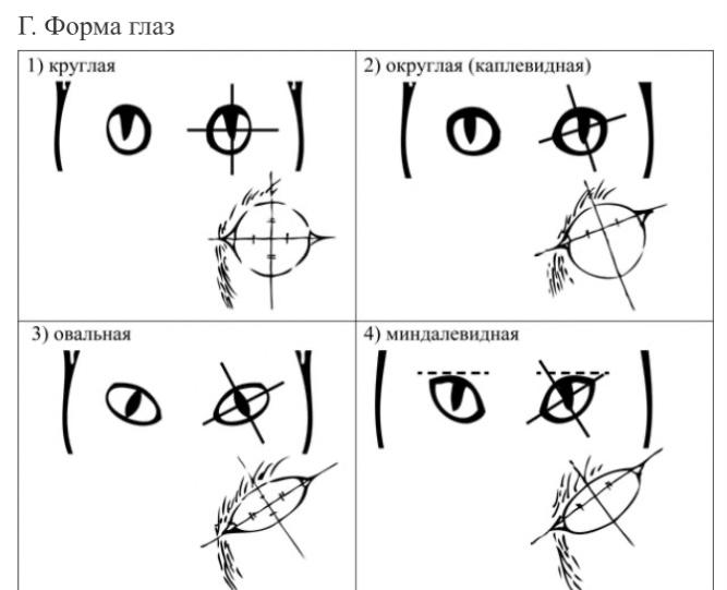 Иллюстрация к заданию, рис.3