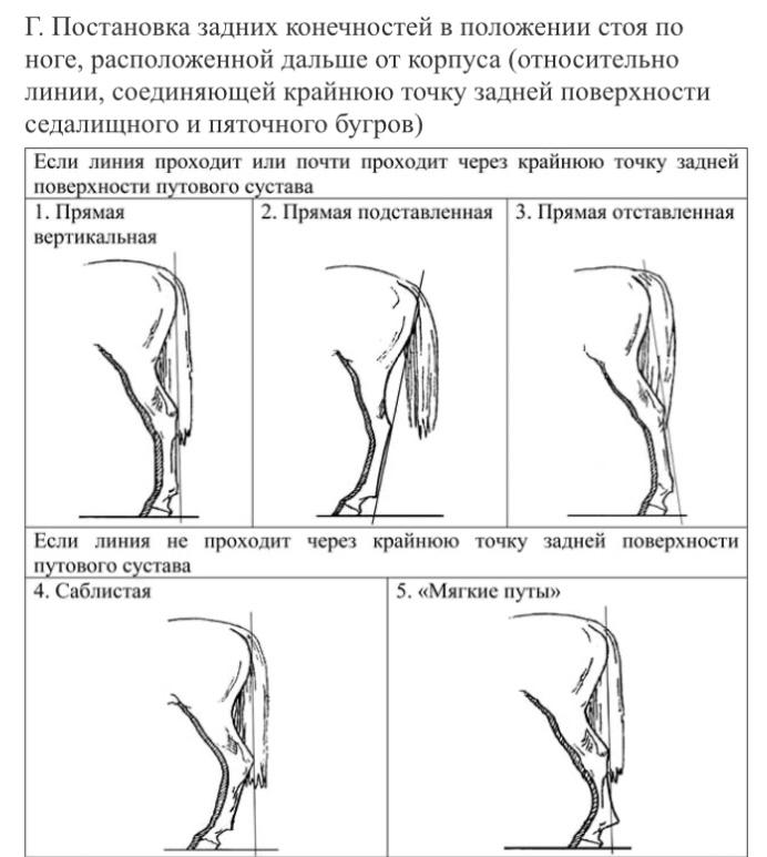 Иллюстрация к заданию, рис.3