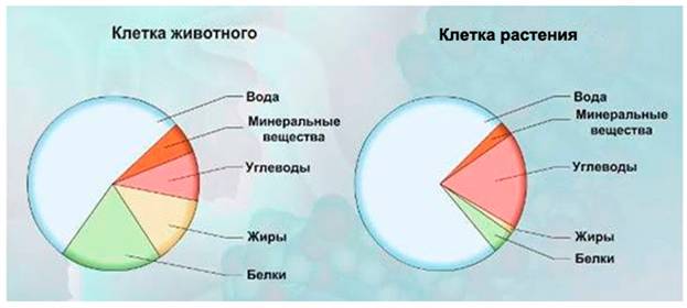 Иллюстрация к заданию, рис.1