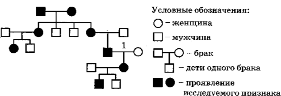 Иллюстрация к заданию, рис.1