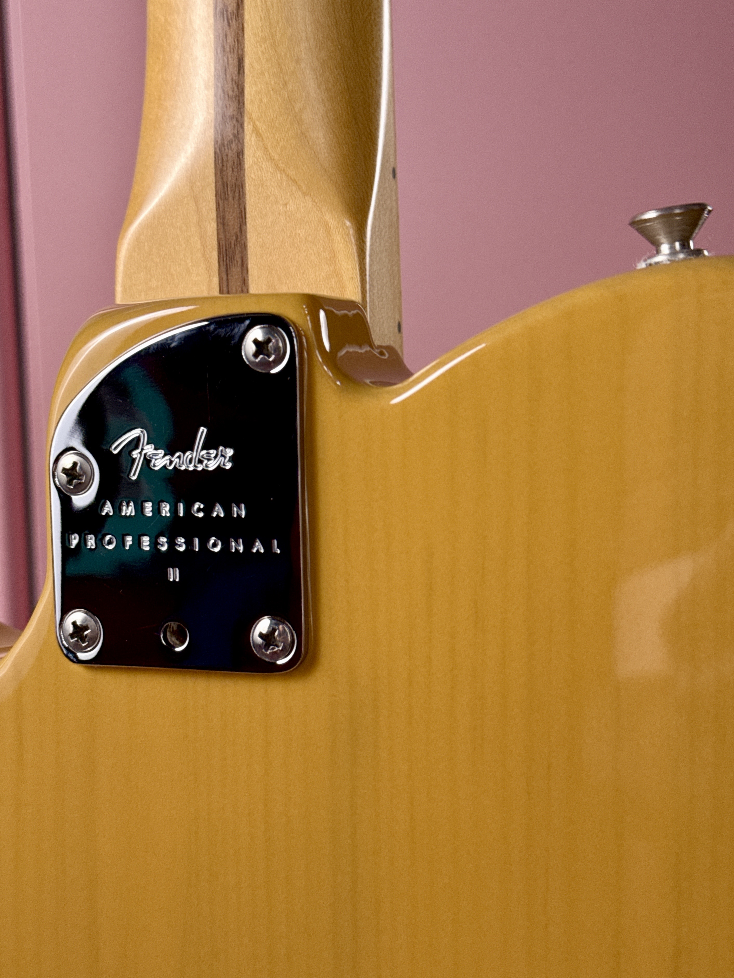 Fender American Professional II Telecaster 2020 Butterscotch Blonde, электрогитара, фото 14