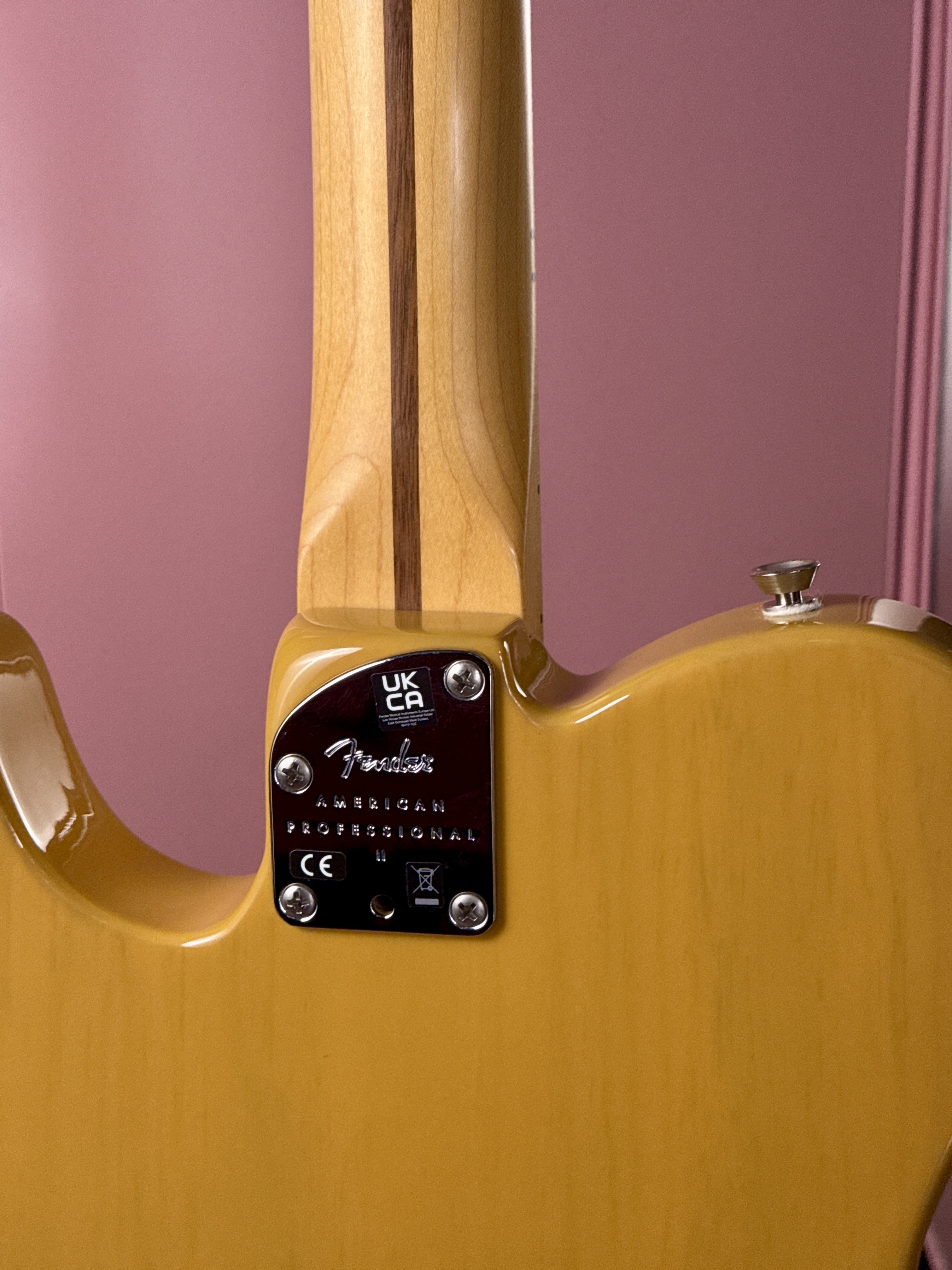 Fender American Professional II Telecaster 2023 Butterscotch Blonde, электрогитара, фото 14