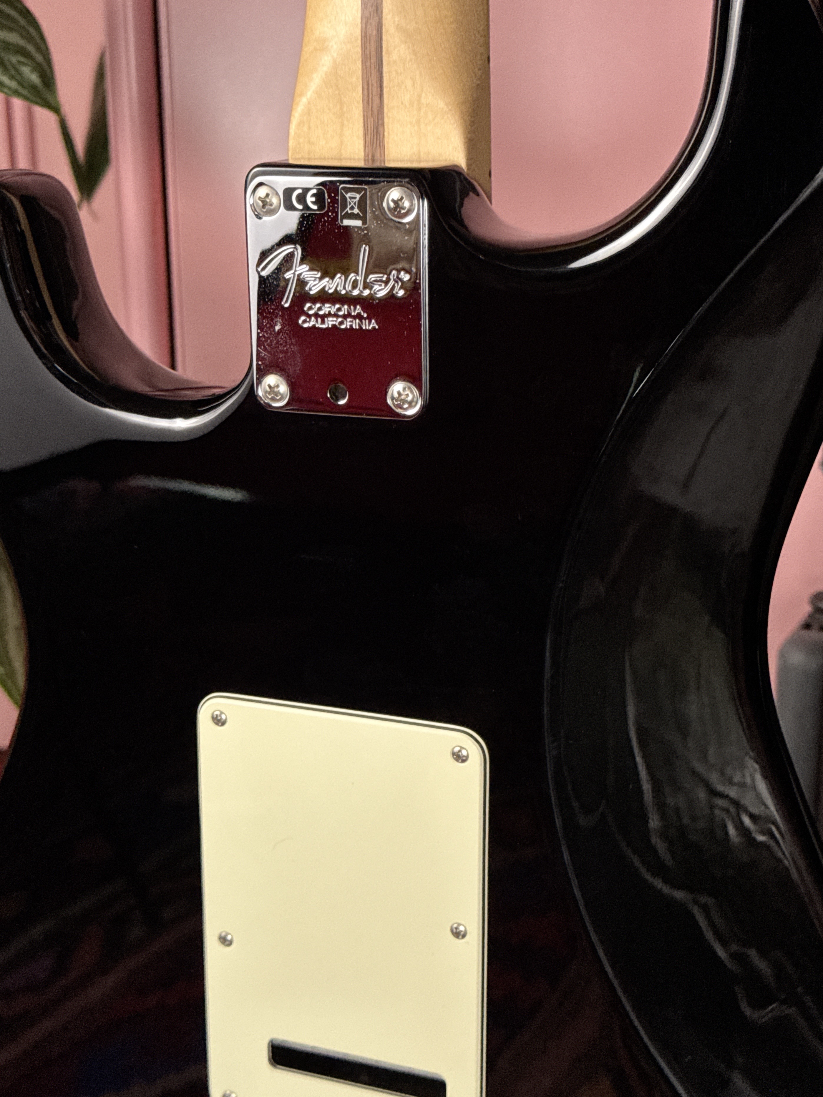 Fender American Professional Stratocaster 2018 Black, электрогитара, фото 13