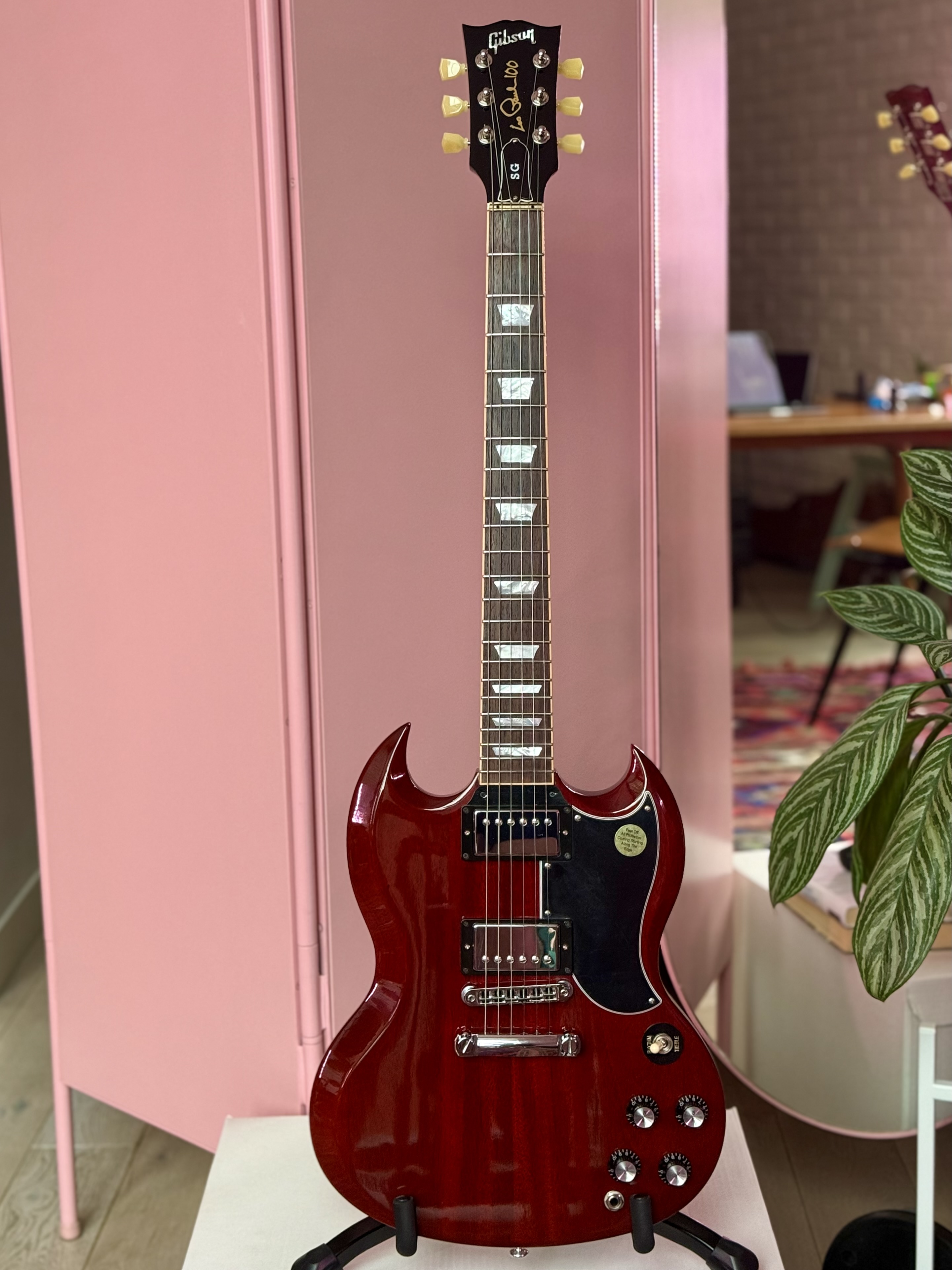 Gibson SG Standard 100th Anniversary 2015 Heritage Chery, электрогитара, фото 2