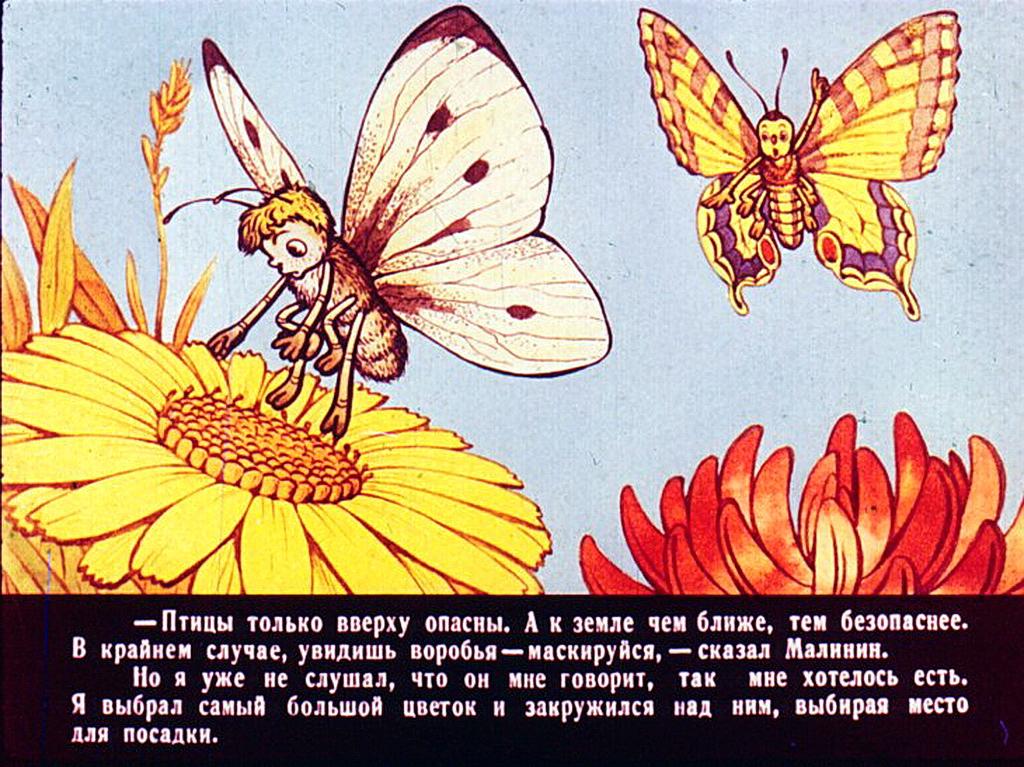 Читать рассказ будь человеком. Баранкин бабочка. Баранкин будь человеком иллюстрации к книге. Медведев Баранкин будь. Баранкин будь человеком бабочки.