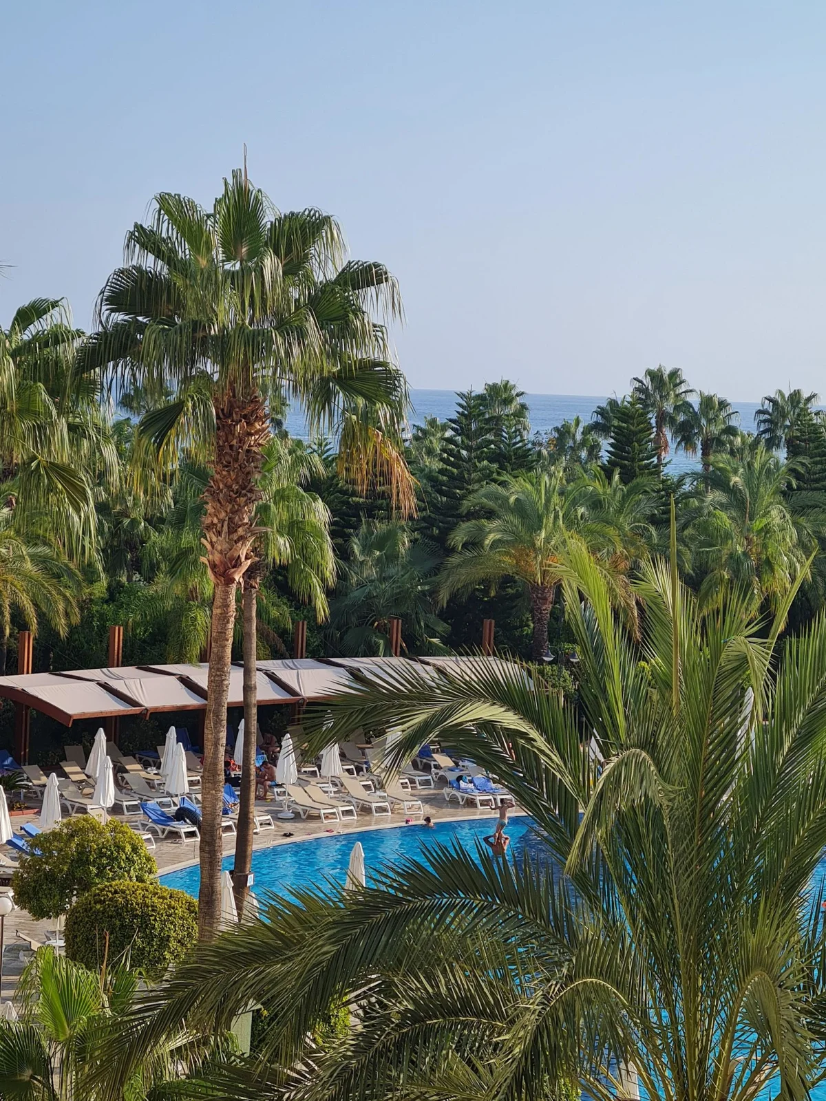Saphir Resort & Spa: фото отеля