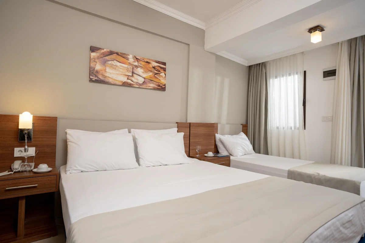 STANDART COMFORT ROOM (стандартный трёхместный номер с видом на сад)