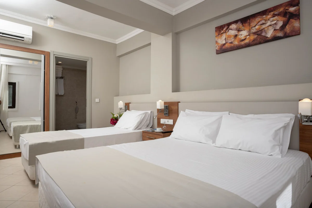 STANDART COMFORT ROOM (стандартный трёхместный номер с видом на сад)