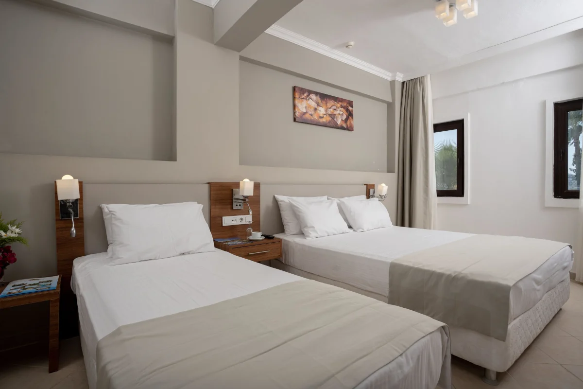 STANDART COMFORT ROOM (стандартный трёхместный номер с видом на сад)