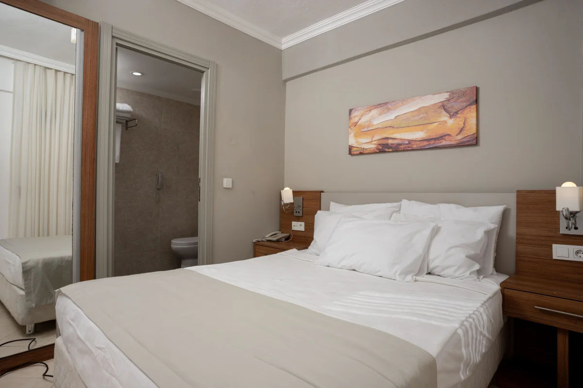 STANADRT ROOM (стандартный двухместный номер с видом на сад)