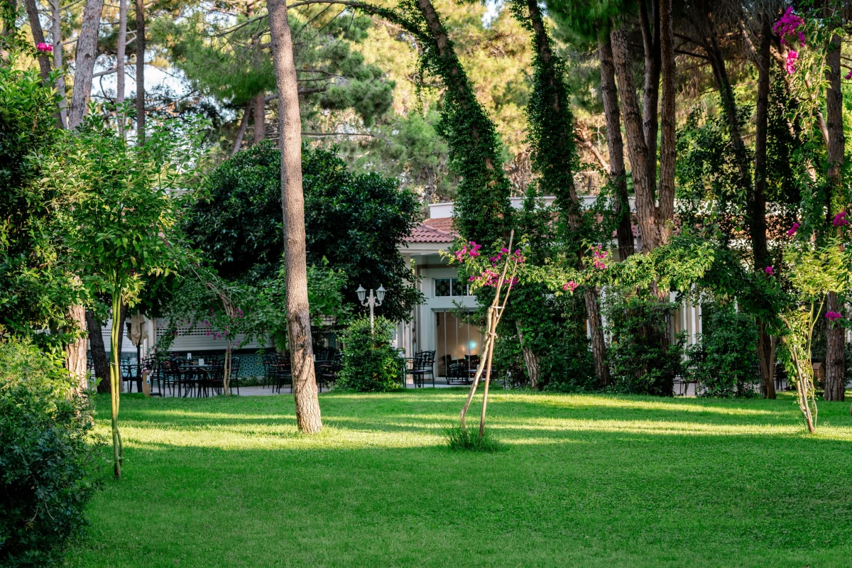 Ali Bey Resort Sorgun: фото отеля