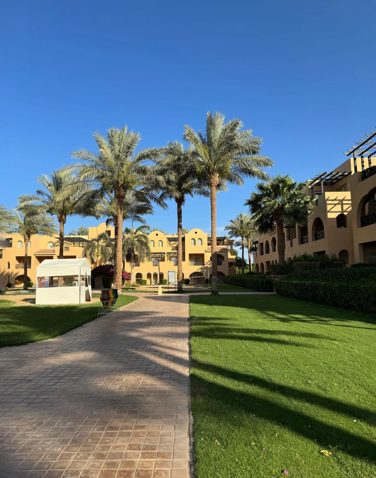 Stella Gardens Resort & Spa Makadi Bay фото 4